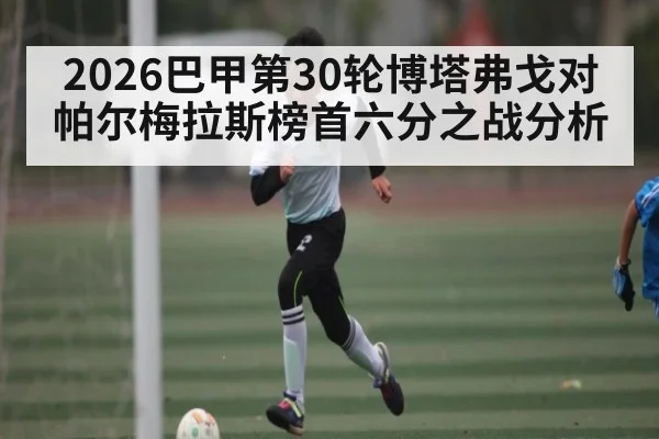 2026巴甲第30轮博塔弗戈对帕尔梅拉斯榜首六分之战分析